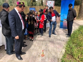 бози