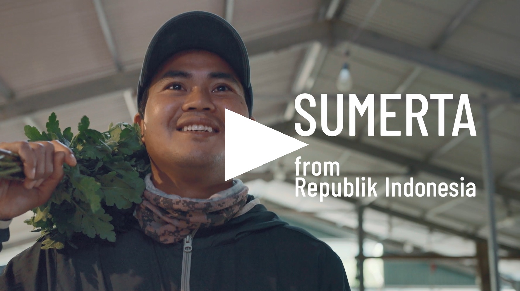 Play movie in a new window: Agriculture