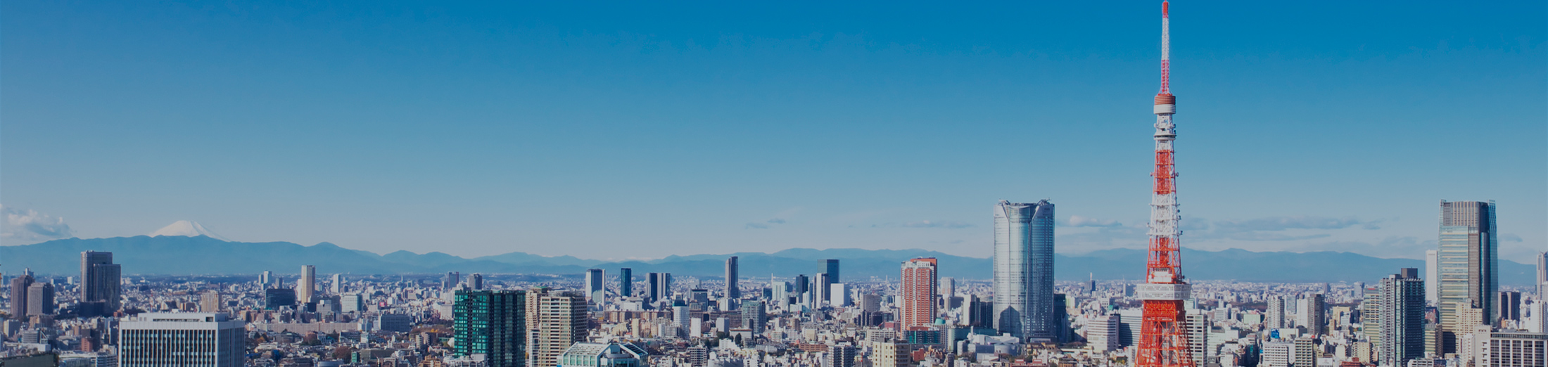 Мутахассиси соҳибмалакаи махсус (SSW) чист?