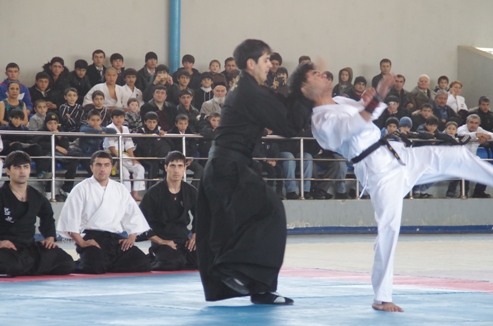 photo4
